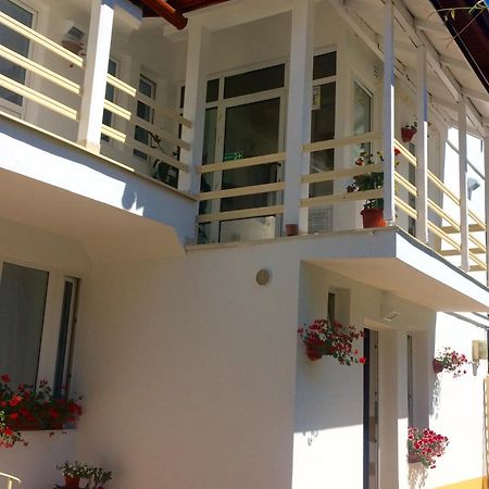 בראשוב Suri Guesthouse מראה חיצוני תמונה